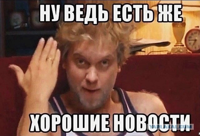Серийного убийцу кошек приговорили к 2,5 годам тюрьмы.