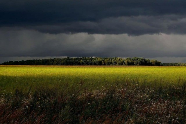 Перед грозой в поле