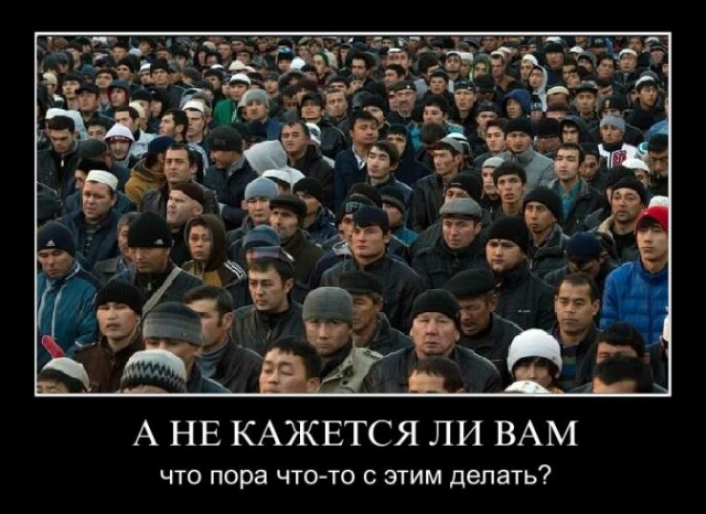 Черножопые твари в Белорецке послесловие .