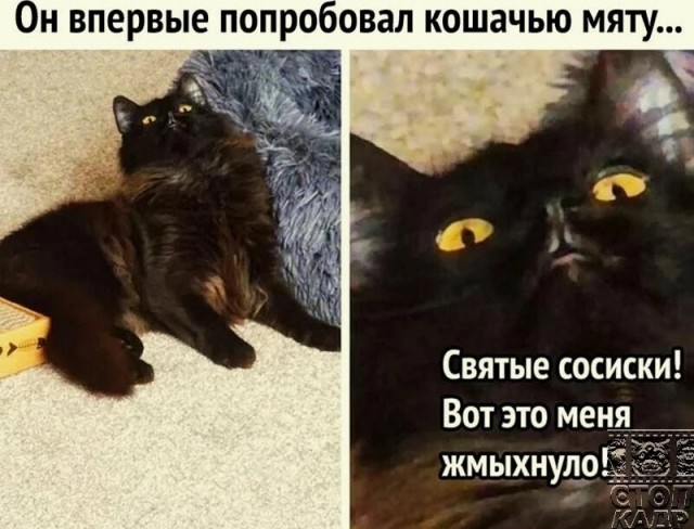 Картинки и мемы, всяко разно - 185