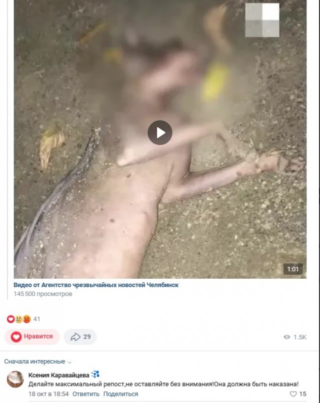 «Заводят себе как игрушку». В Челябинске замерз насмерть сфинкс, выброшенный хозяйкой на улице (видео)