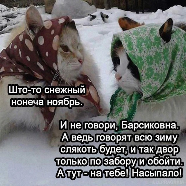 Юмор в картинках и без