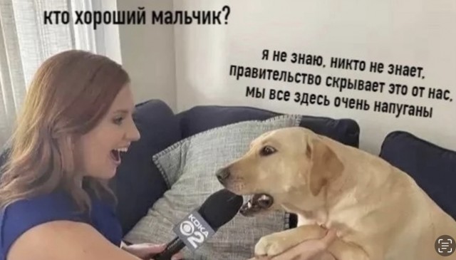 Непонятное