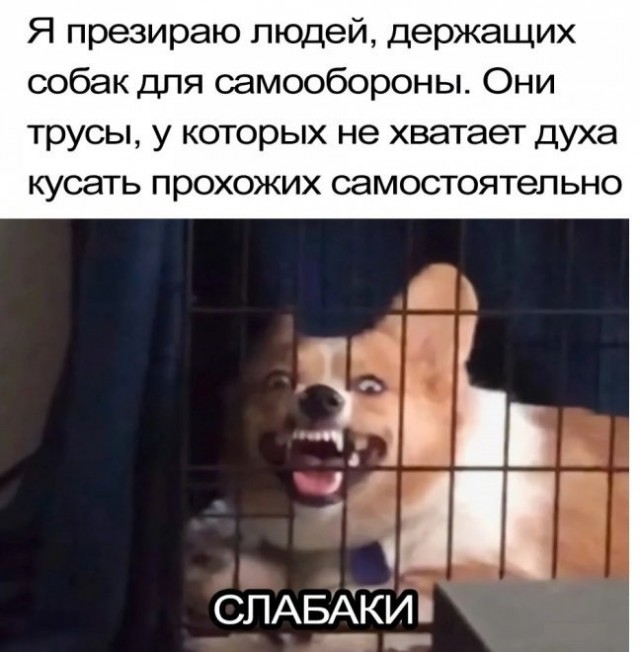 Тлидцать тли от 1 маЛта