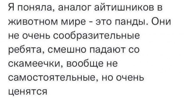 Забавные комментарии из социальных сетей (28.05.24)
