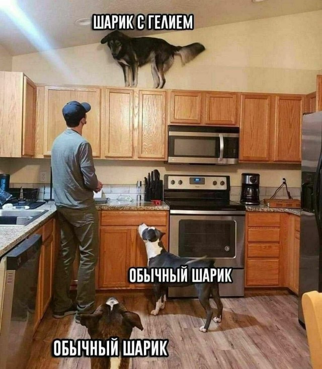 Нуштош 30.05.2024
