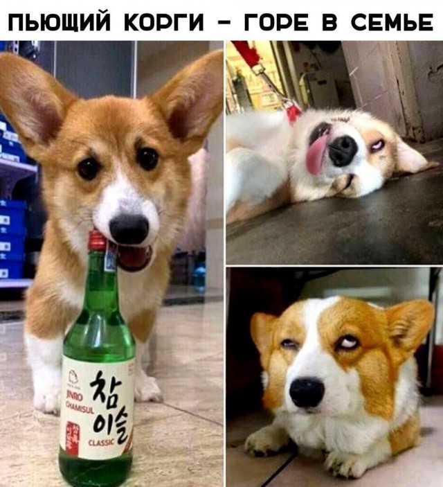 Завалялось тут случайно немного забавных картинок