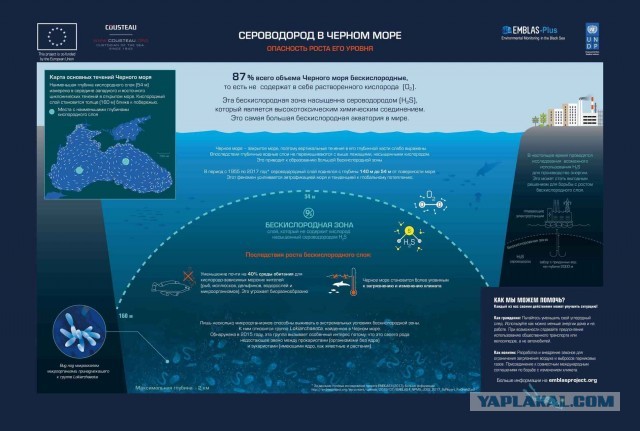 Можно ли засрать Черное море?