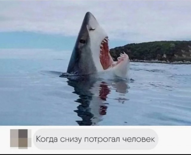 Так себе картинки