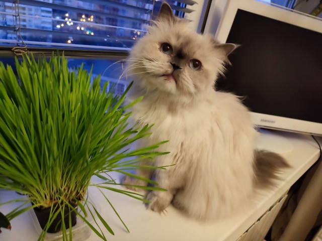 Это не меня заперли с вами, это вас заперли со мной