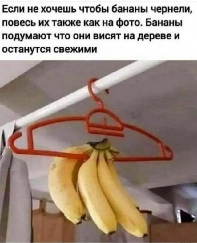 А когда будет восстание машин?