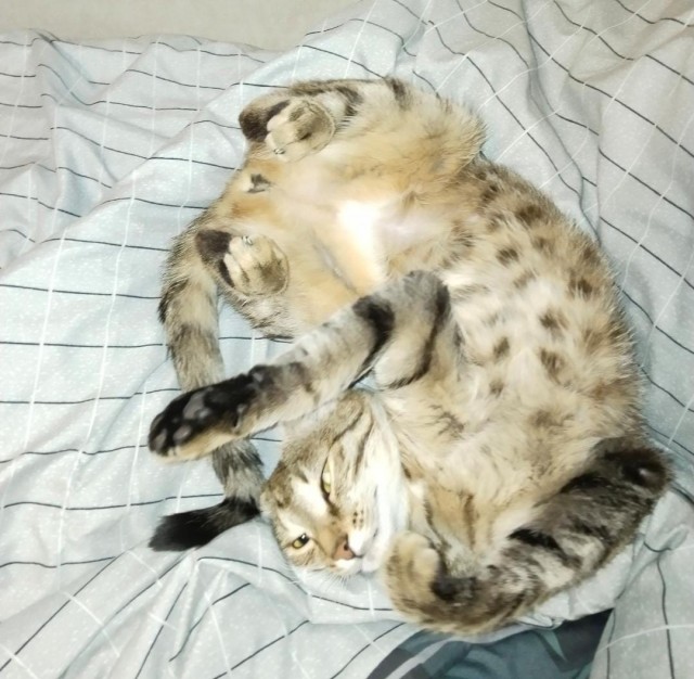 Делай так 2 раза в день