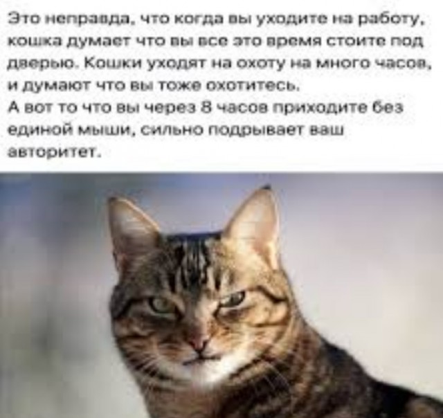 А как орал