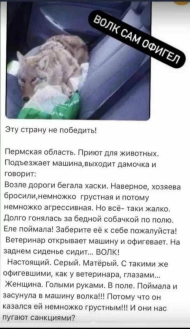 "Помощники"