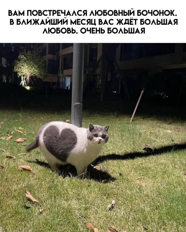 Завалялось тут случайно немного забавных картинок