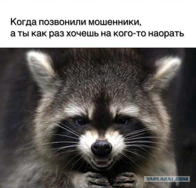 Веселое настроение в картинках (14.07.2025)