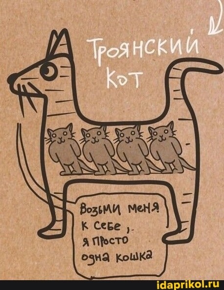 Троянский кот