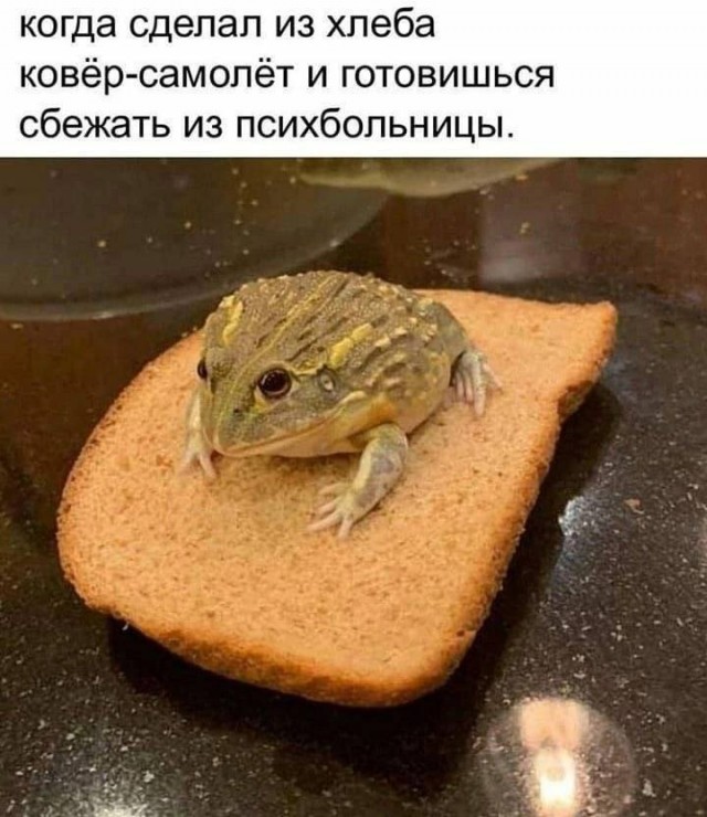 Веселые картинки в понедельник (04.08)