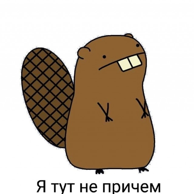 Шура и сумка