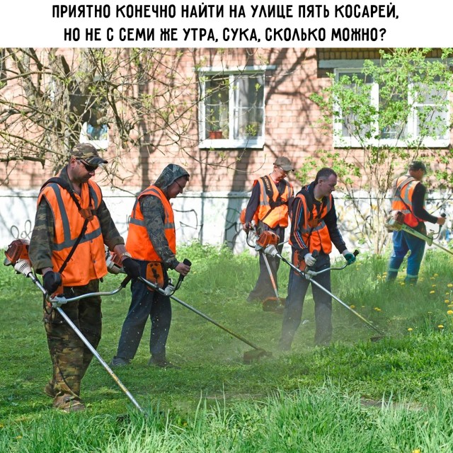 Картинки для деградации 22 ( разной степени свежести)