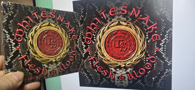 Музыка и музыканты: David Coverdale и все-все-все..
