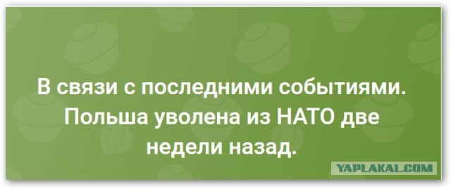 «В ближайшие часы»: во Франции предупредили о возможной войне НАТО с РФ