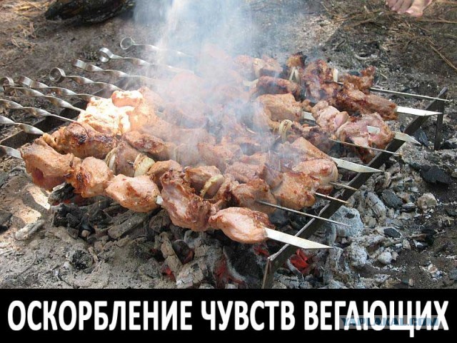 Оскорбление чувств