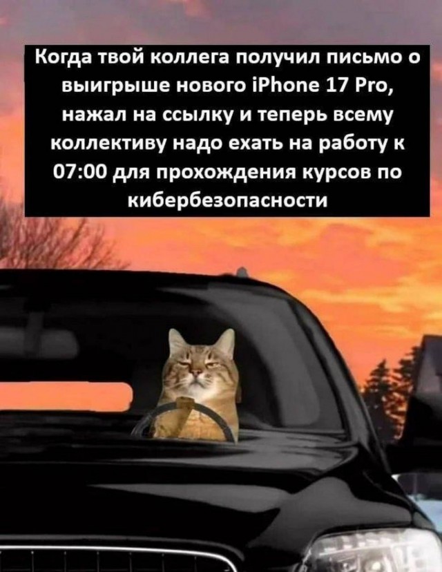 Веселые картинки в понедельник (13.10)