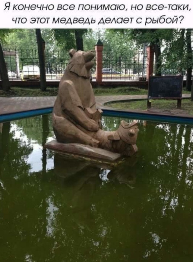 Веселые картинки в пятницу (03.02)