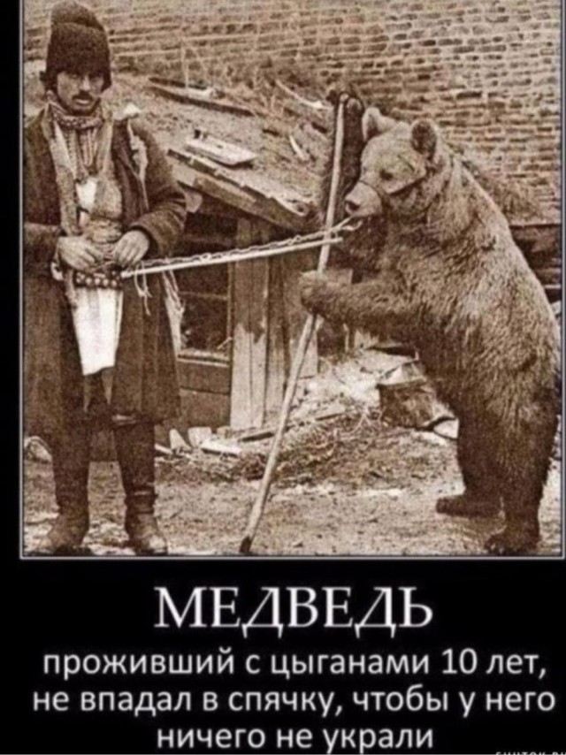 Деградация