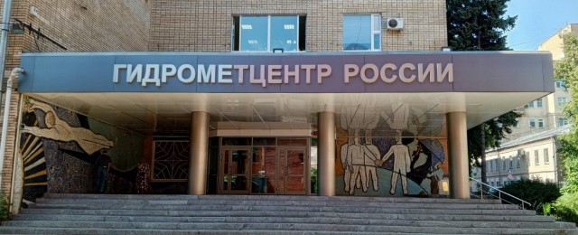 Сову повязали!