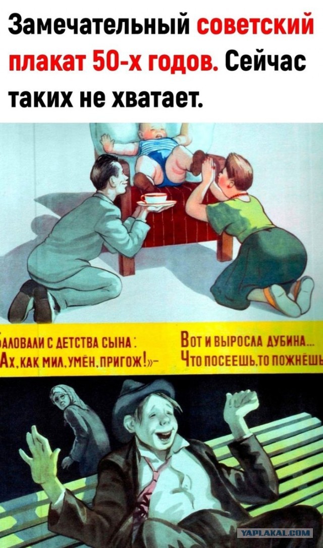 Картинки для деградации 137 (разной степени свежести)