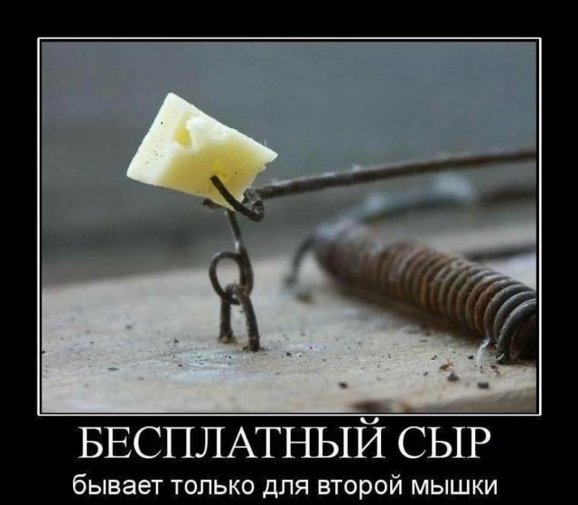 Среды картинки