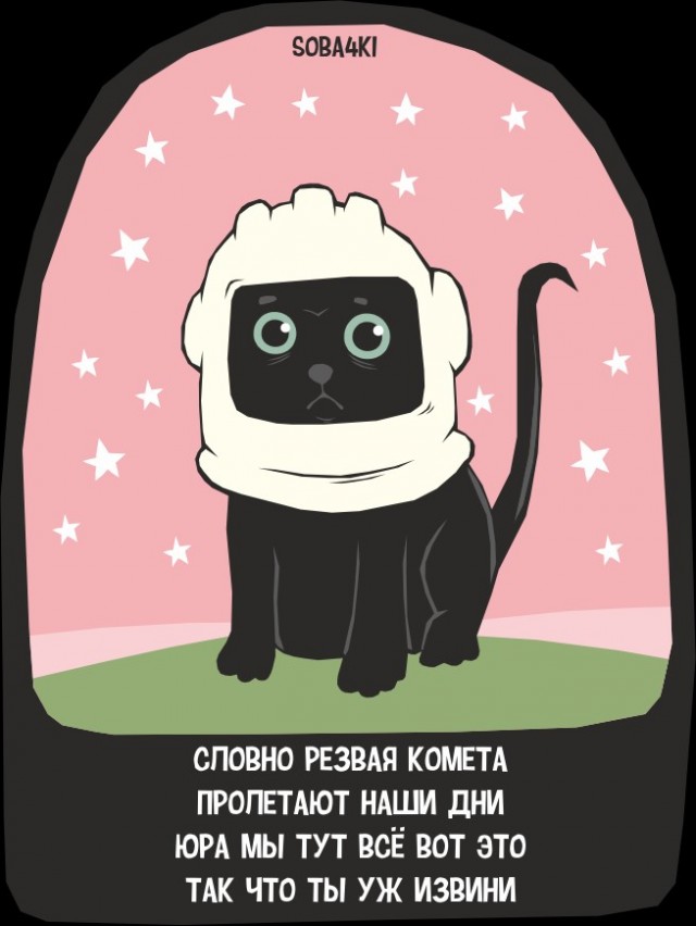 А вот вам 35 soba4ek