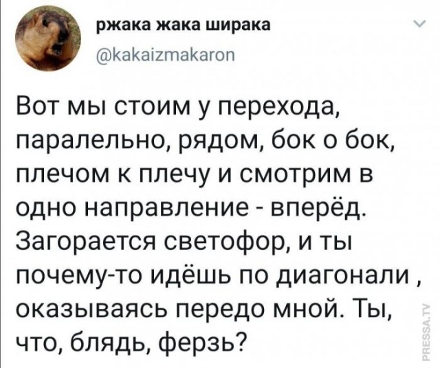 Веселые картинки в пятницу (17.07)