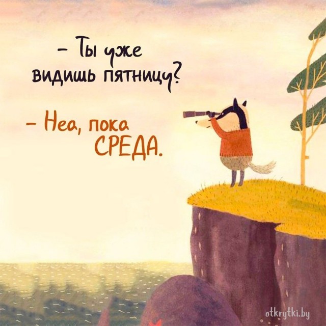 Доброе утро.