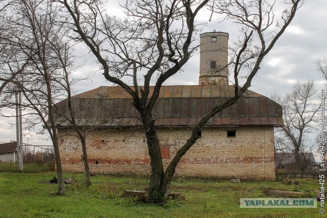 Останки старинной усадьбы.