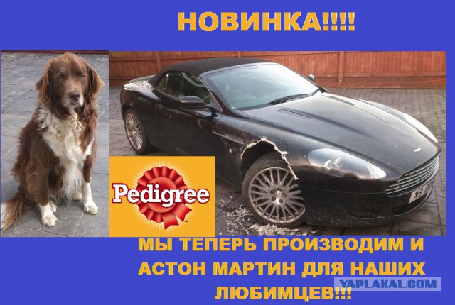 Его зовут Люк