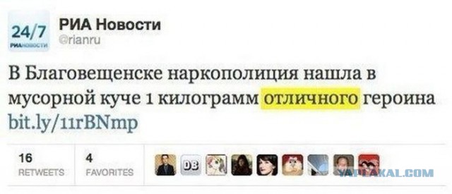 Весёлые картинки. Разбавим будни