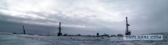 Полуостров ЯМАЛ зимой и летом