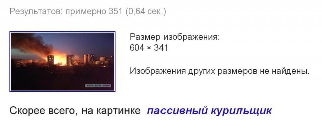 Кто из Донецка! Всего лишь камыш
