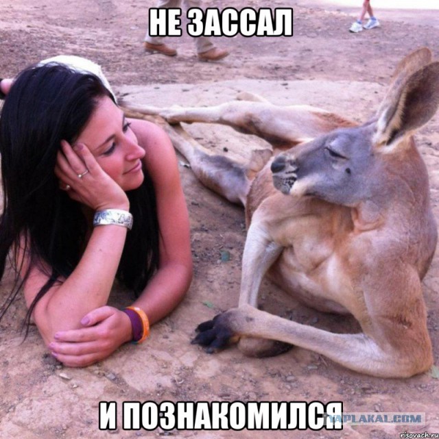 Пересаживаемся на общественный транспорт