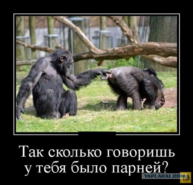 Весёлое из сети