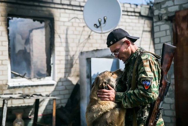 Кошки и собаки на войне в Донбассе