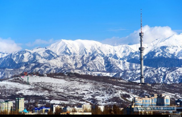 Потрясающая развязка