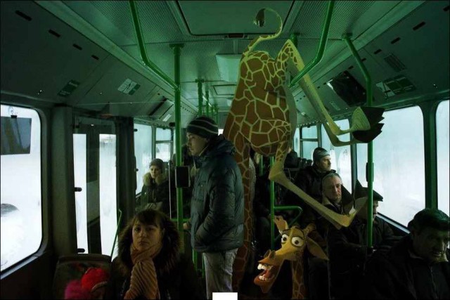 Забавные коллажи