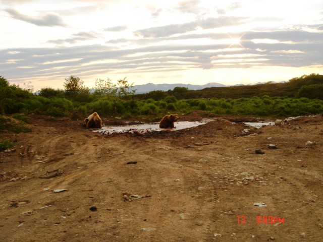 Путина 2005, Камчатка
