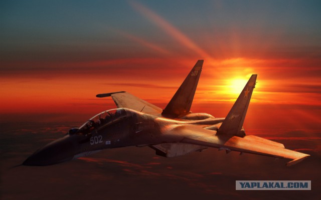 F-14 Tomcat