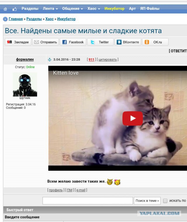Смешные коментарии с нашего ЯПа
