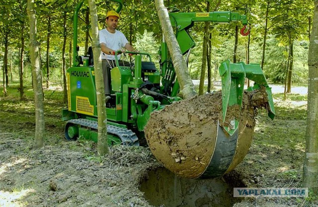 А у вас что на дачах воруют? у нас вот...